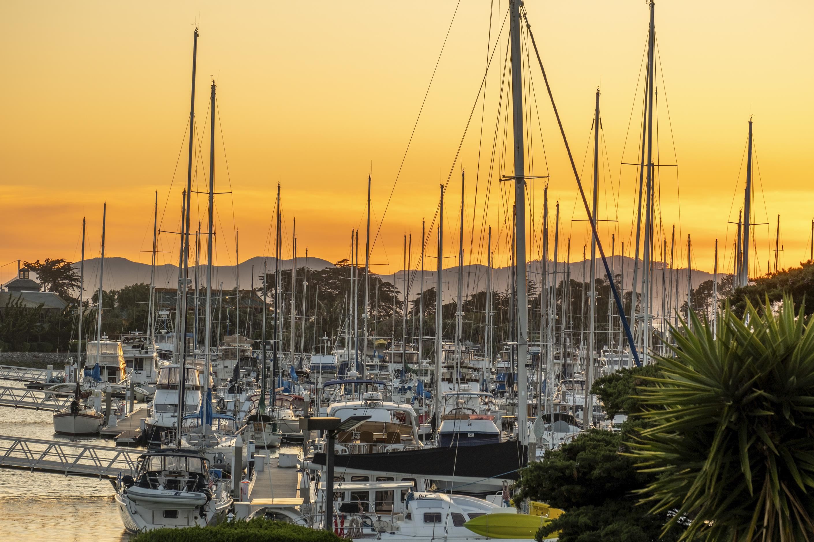 Photo #34: 41122021 Listing: Photo #34