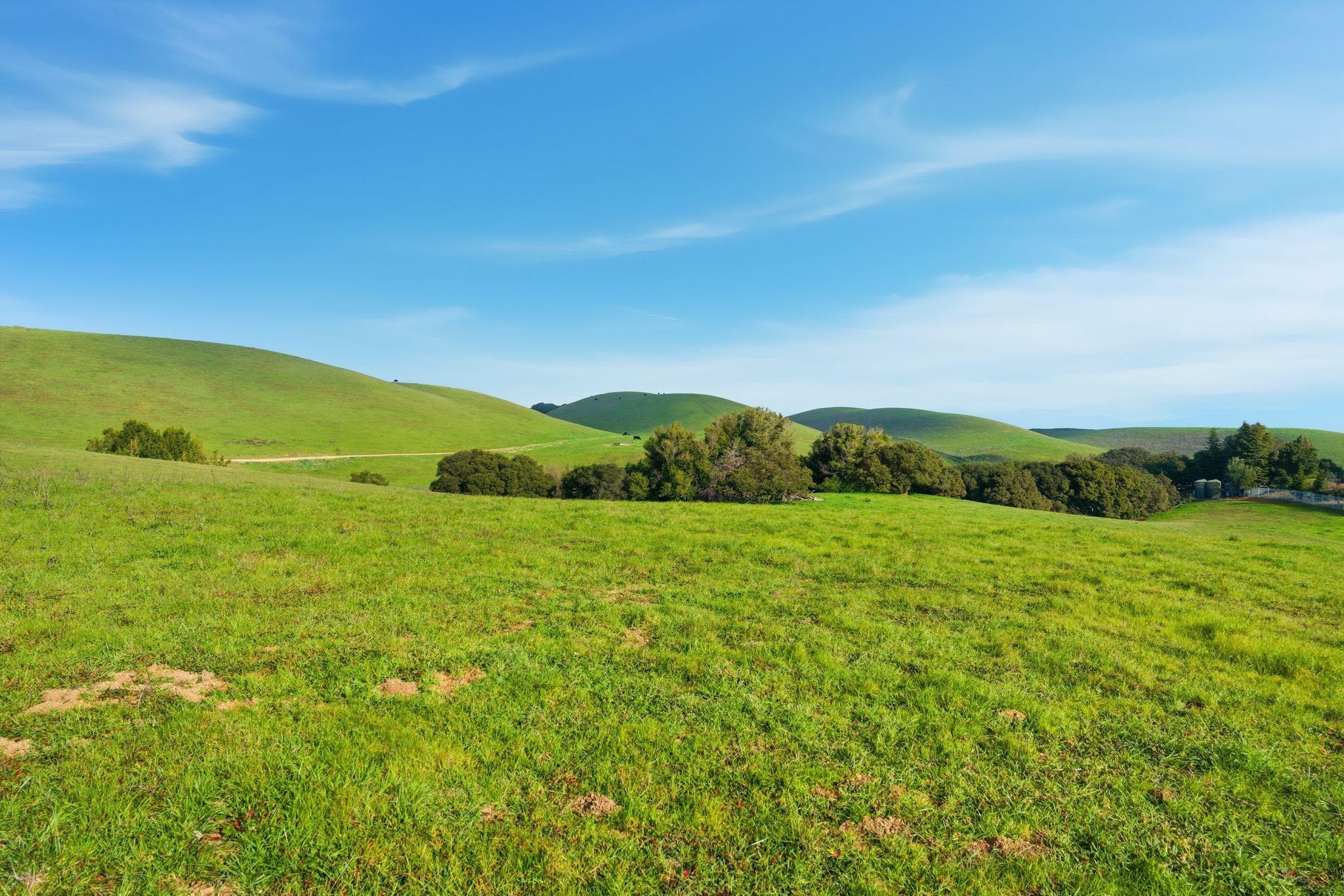 Detail Gallery Image 11 of 21 For 2395 Tecado Ter, Fremont,  CA 94539 - – Beds | – Baths