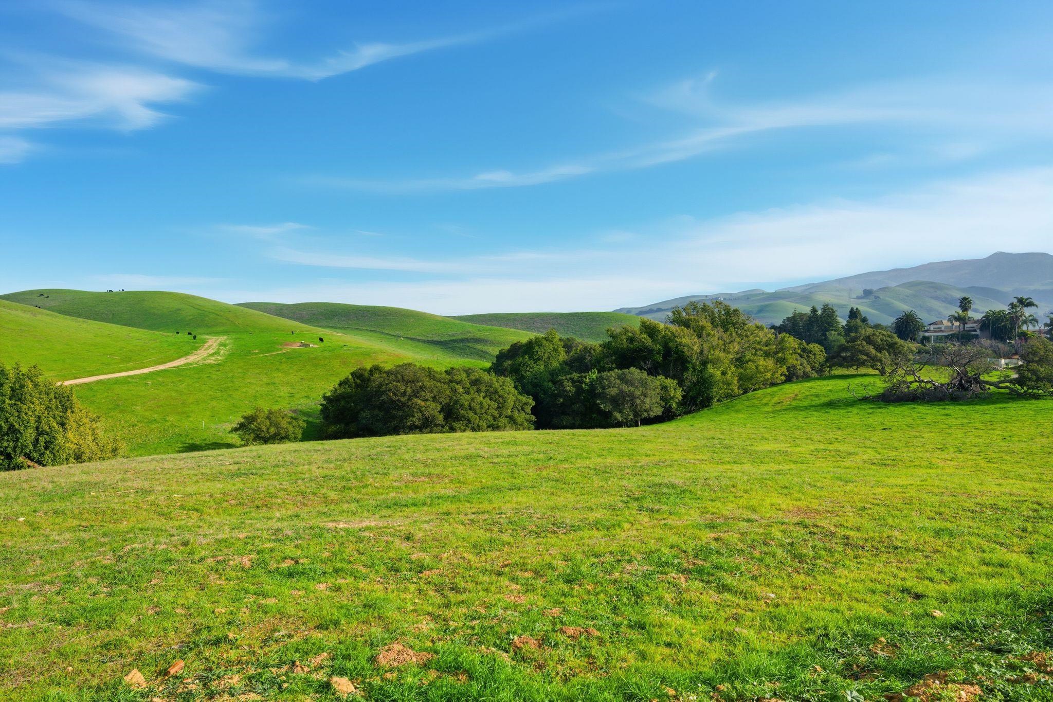 Detail Gallery Image 13 of 21 For 2395 Tecado Ter, Fremont,  CA 94539 - – Beds | – Baths