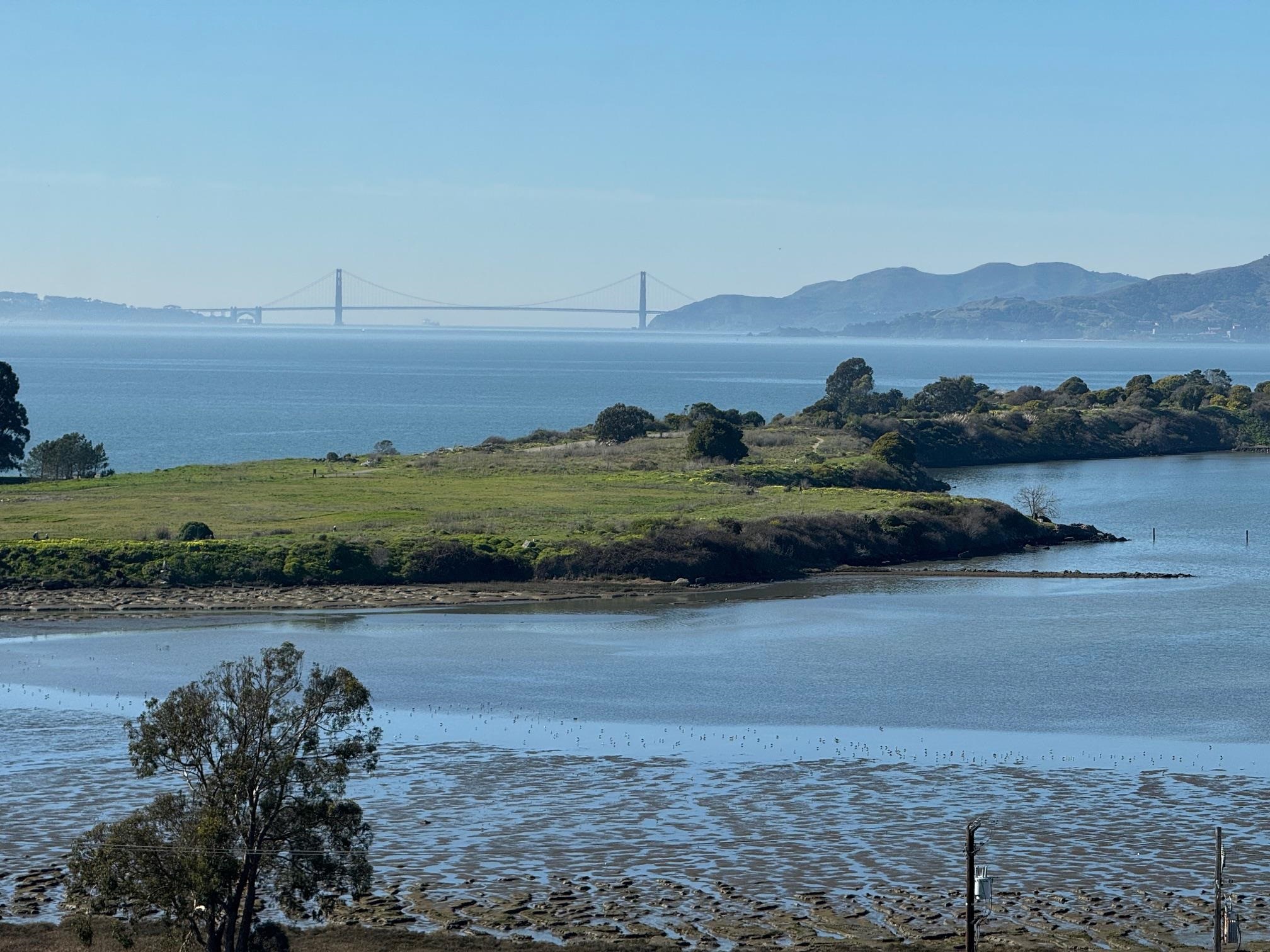 Photo #13: 41122084 Listing: Photo #13