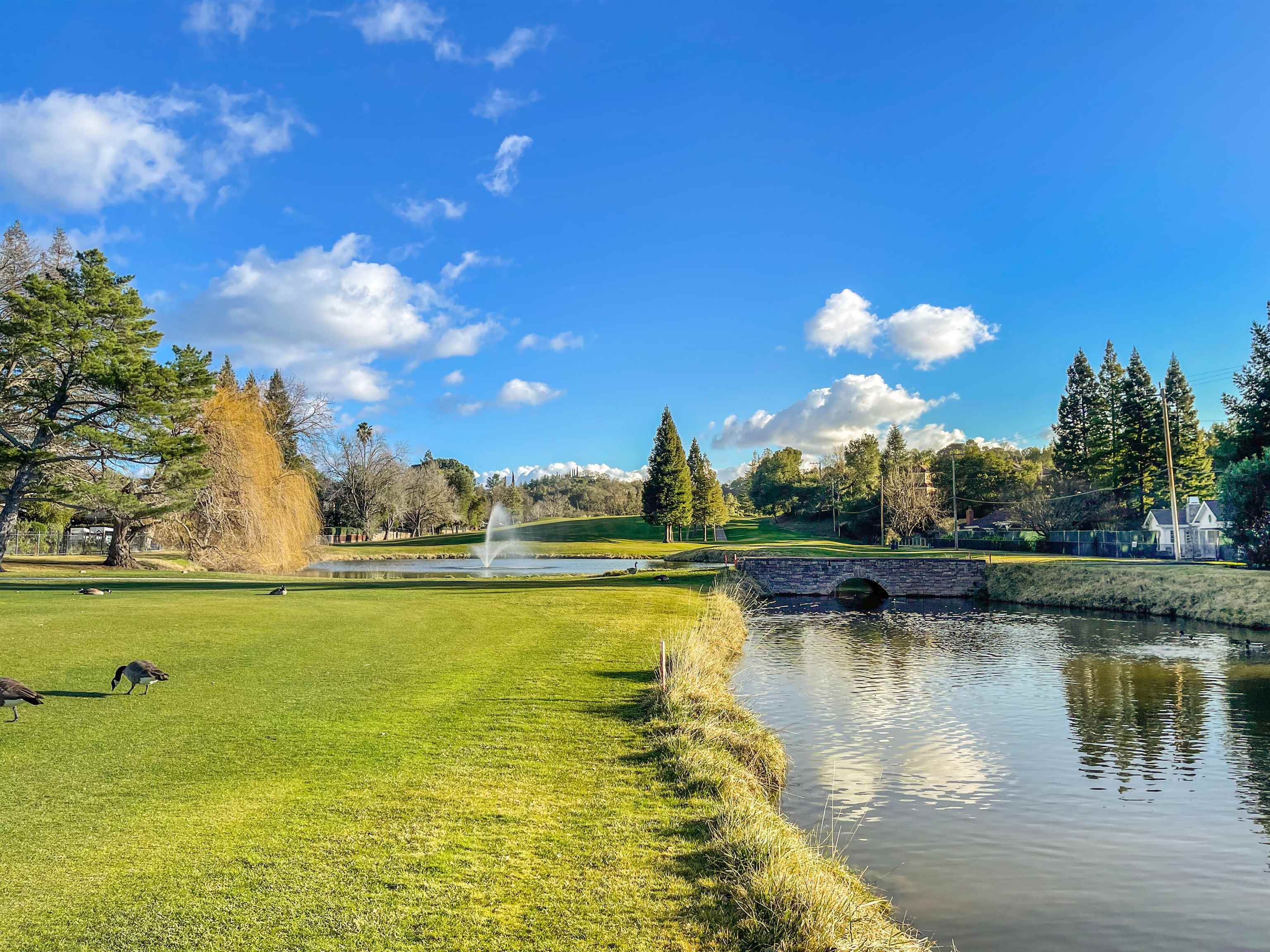 Detail Gallery Image 48 of 48 For 13 Kemp Ct, Alamo,  CA 94507 - 5 Beds | 3/1 Baths
