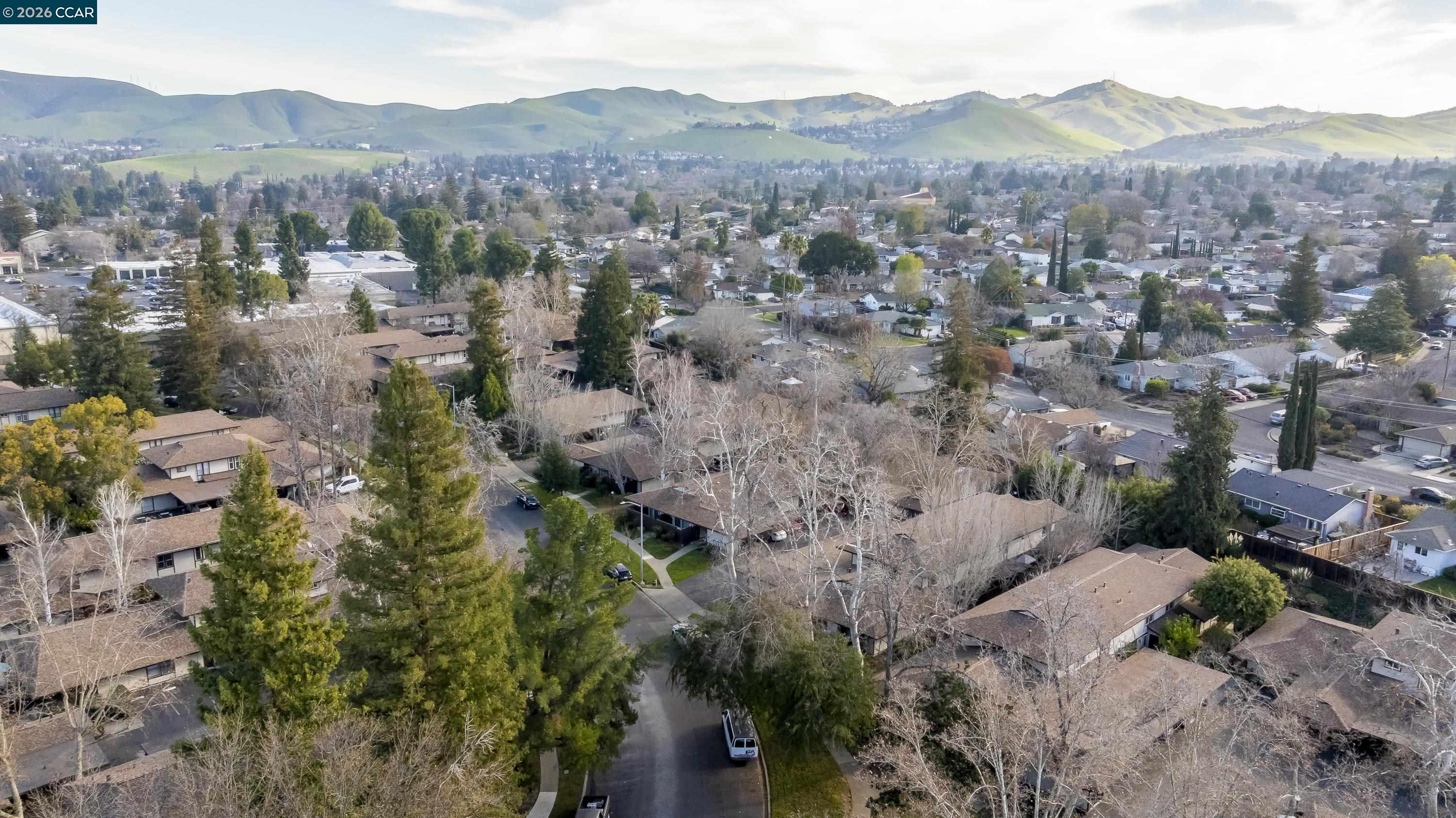 Photo #48: 41122104 Listing: Photo #48