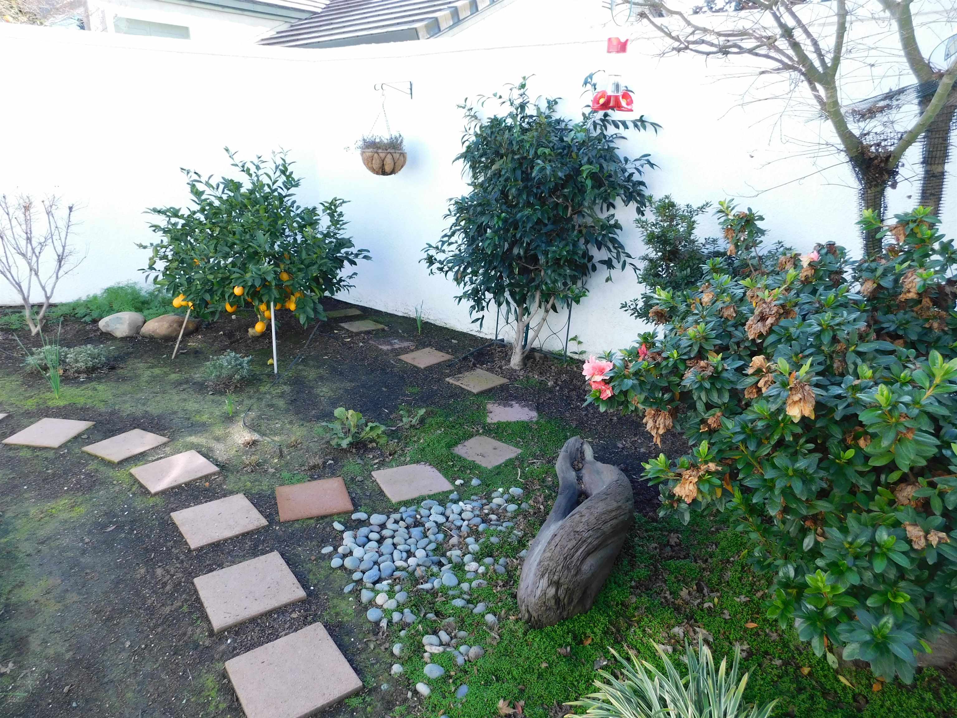 Detail Gallery Image 30 of 43 For 1169 Copper Cottage, Modesto,  CA 95355-8949 - 3 Beds | 2 Baths