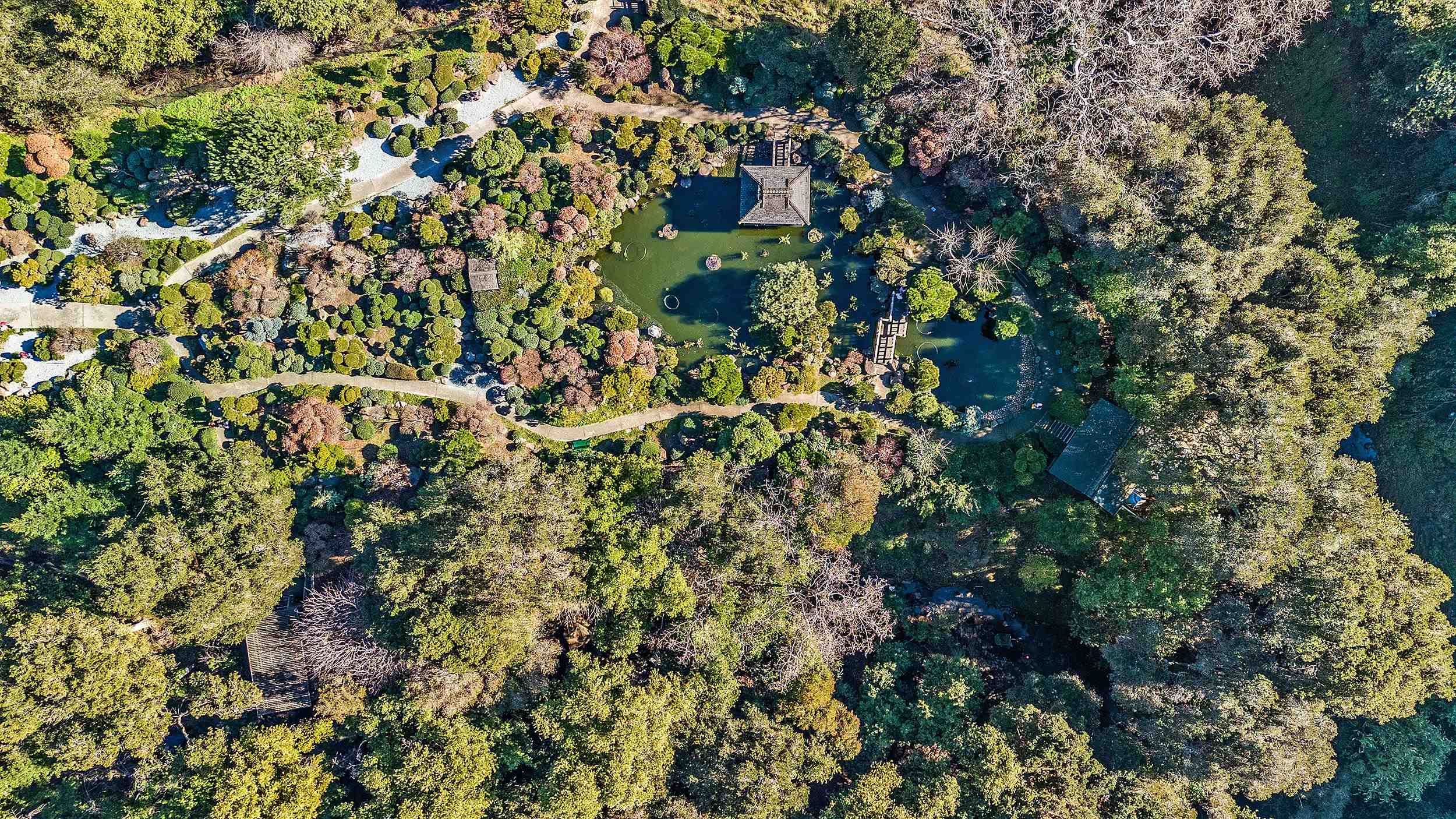 Detail Gallery Image 29 of 31 For 1289 Russell Way, Hayward,  CA 94541 - – Beds | – Baths