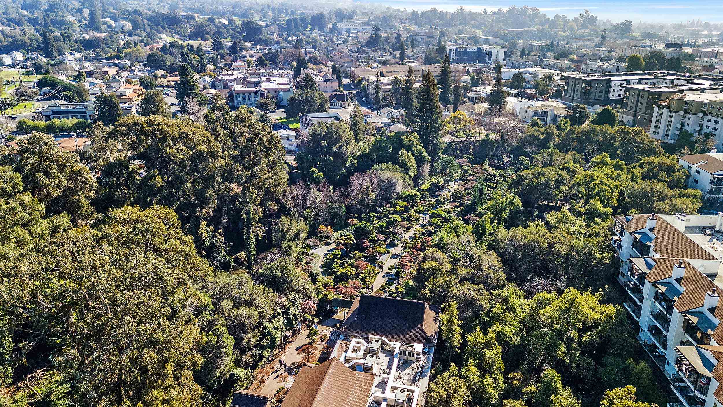 Detail Gallery Image 31 of 31 For 1289 Russell Way, Hayward,  CA 94541 - – Beds | – Baths