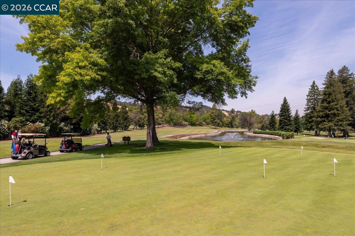 Photo #41: 41122144 Listing: Photo #41