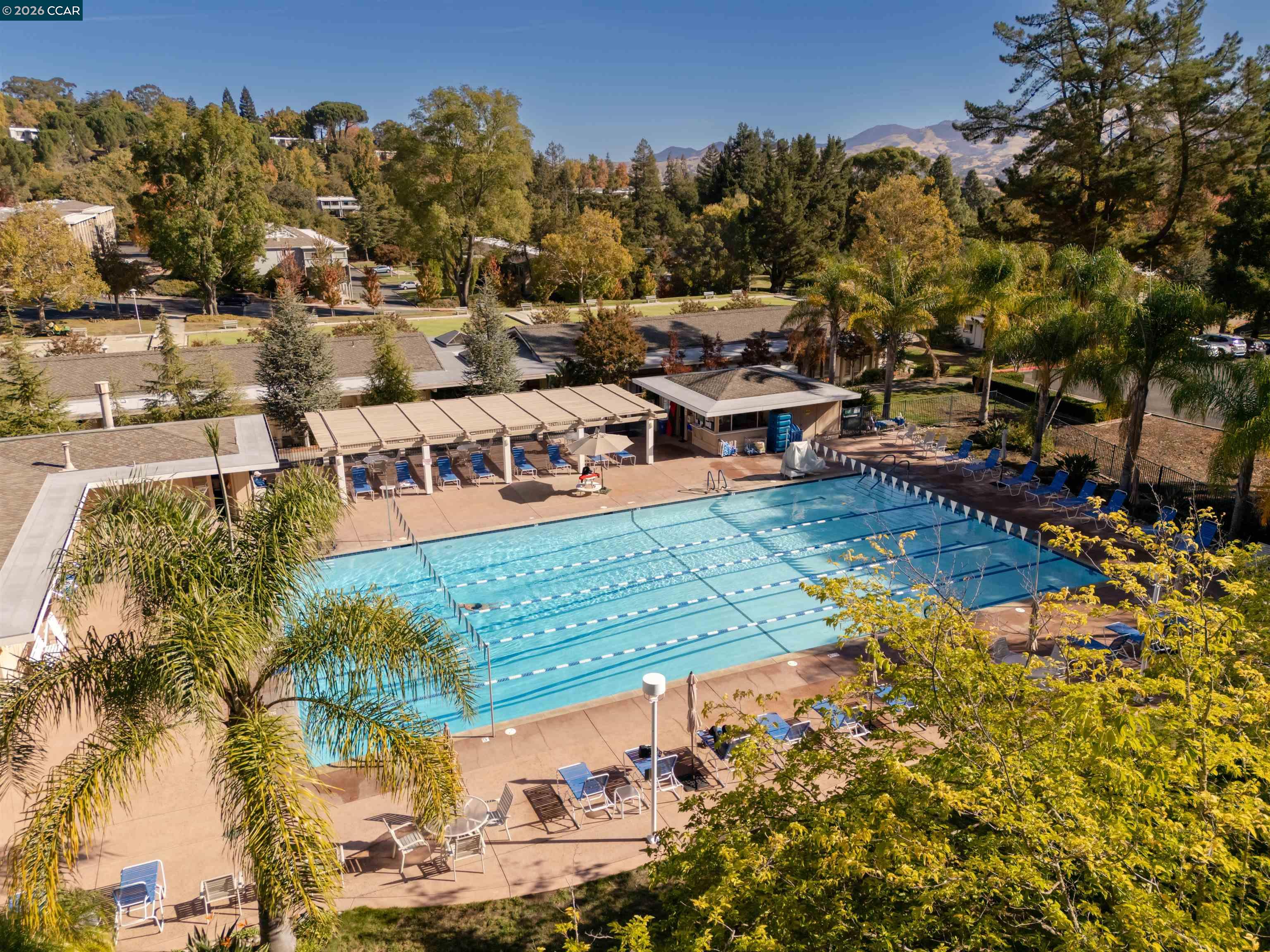 Photo #45: 41122144 Listing: Photo #45