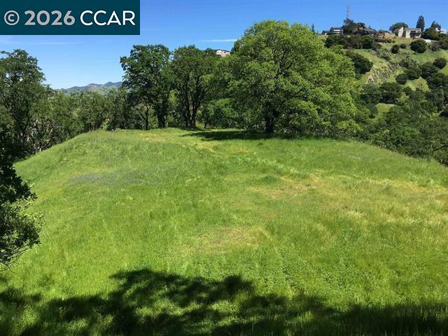 Detail Gallery Image 16 of 27 For 283 Castle Hill Ranch Rd, Walnut Creek,  CA 94595 - – Beds | – Baths