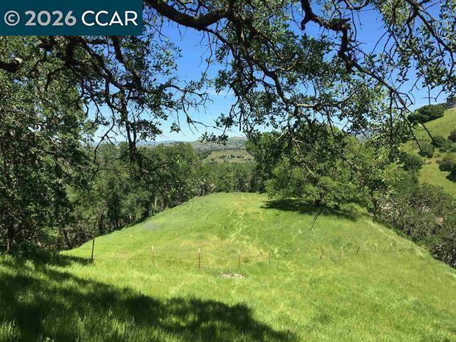 Detail Gallery Image 18 of 27 For 283 Castle Hill Ranch Rd, Walnut Creek,  CA 94595 - – Beds | – Baths