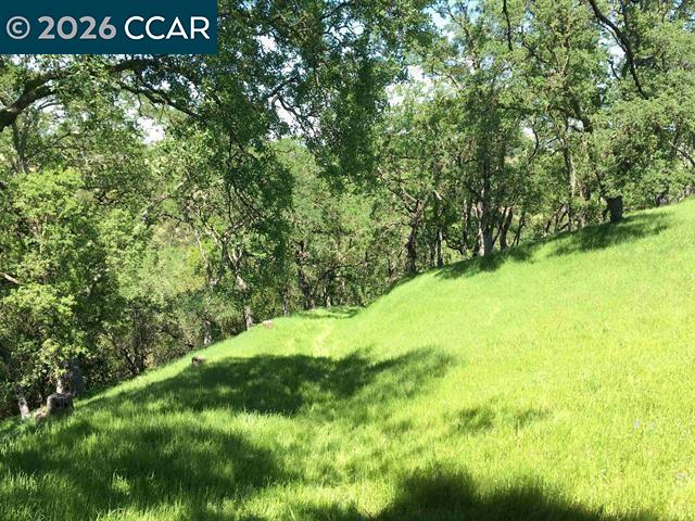 Detail Gallery Image 19 of 27 For 283 Castle Hill Ranch Rd, Walnut Creek,  CA 94595 - – Beds | – Baths