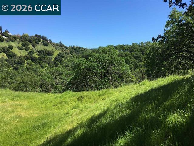 Detail Gallery Image 20 of 27 For 283 Castle Hill Ranch Rd, Walnut Creek,  CA 94595 - – Beds | – Baths