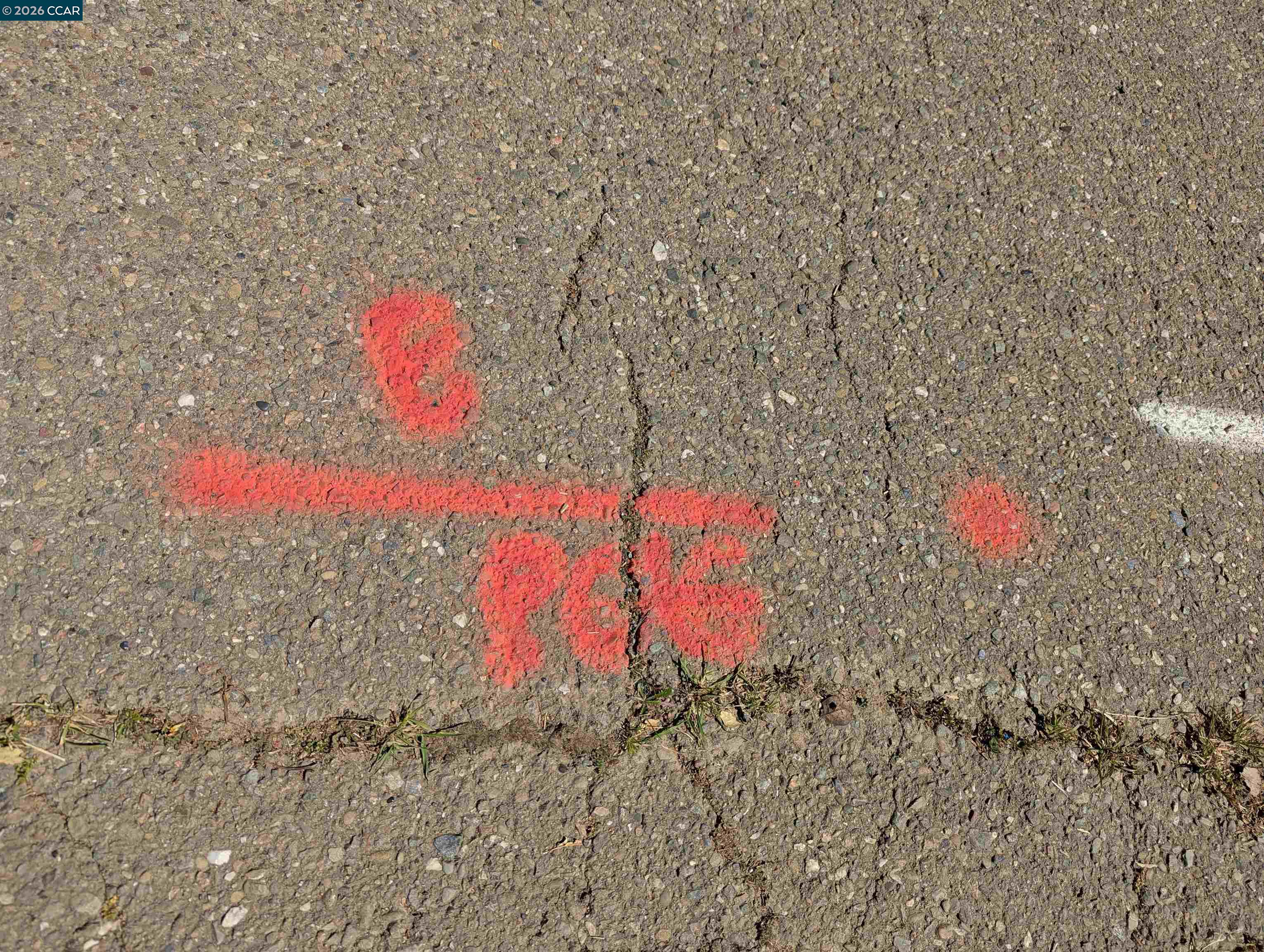 Detail Gallery Image 26 of 32 For 0 Gravat Dr., Oakland,  CA 94705 - – Beds | – Baths