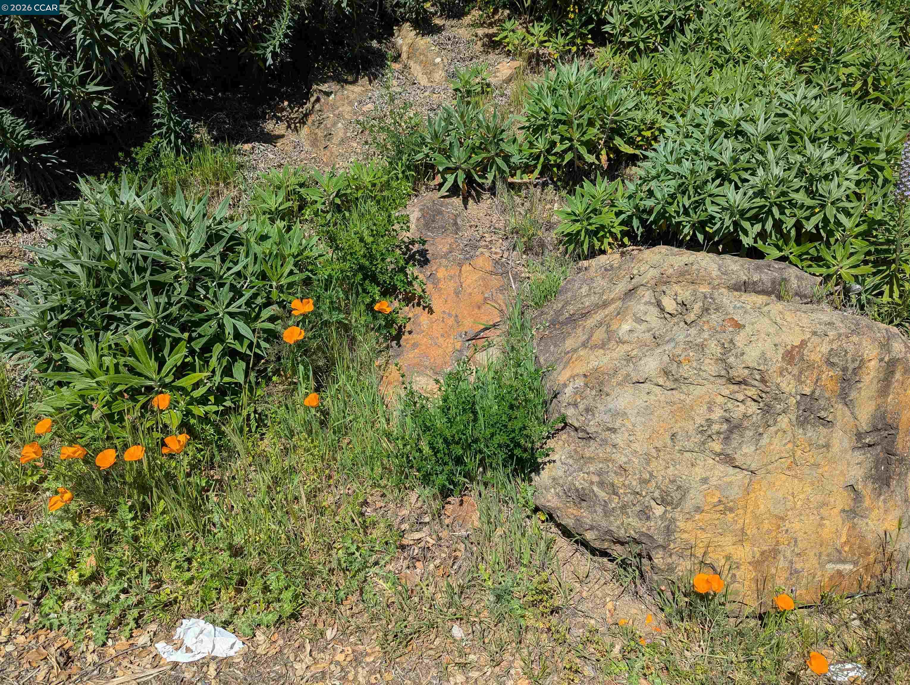 Detail Gallery Image 6 of 32 For 0 Gravat Dr., Oakland,  CA 94705 - – Beds | – Baths