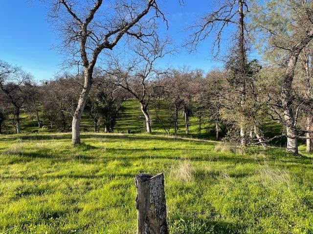 Detail Gallery Image 29 of 34 For 14138 Park Ave, Jamestown,  CA 95327 - 3 Beds | 2 Baths