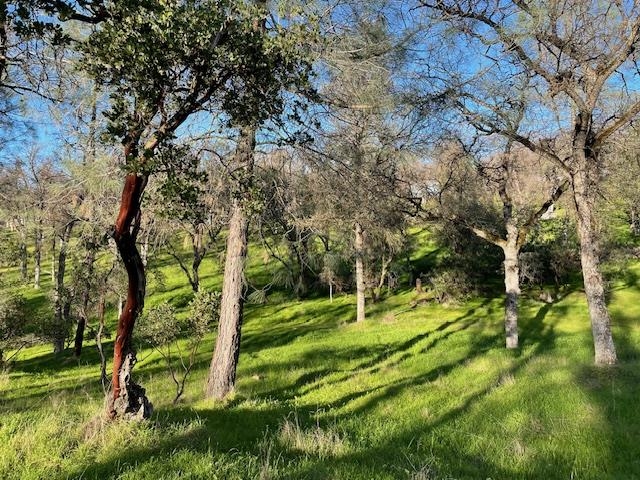 Detail Gallery Image 30 of 34 For 14138 Park Ave, Jamestown,  CA 95327 - 3 Beds | 2 Baths